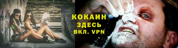 дурь Ладушкин