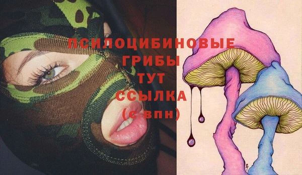 дурь Ладушкин