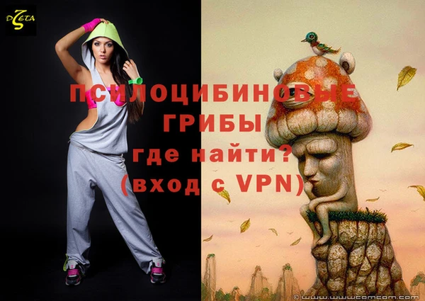 винт Анжеро-Судженск