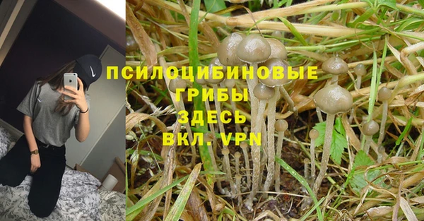 дурь Ладушкин