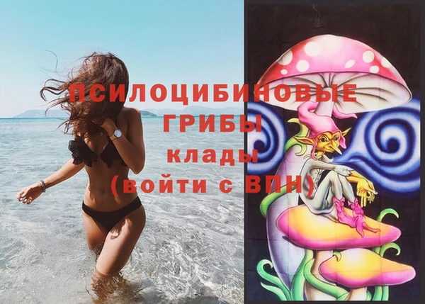 бутират Лагань
