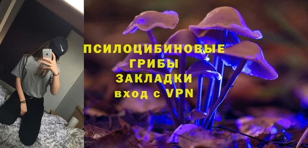 дурь Ладушкин