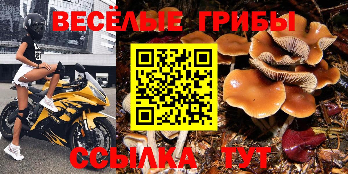 Галлюциногенные грибы GOLDEN TEACHER  Лиски 